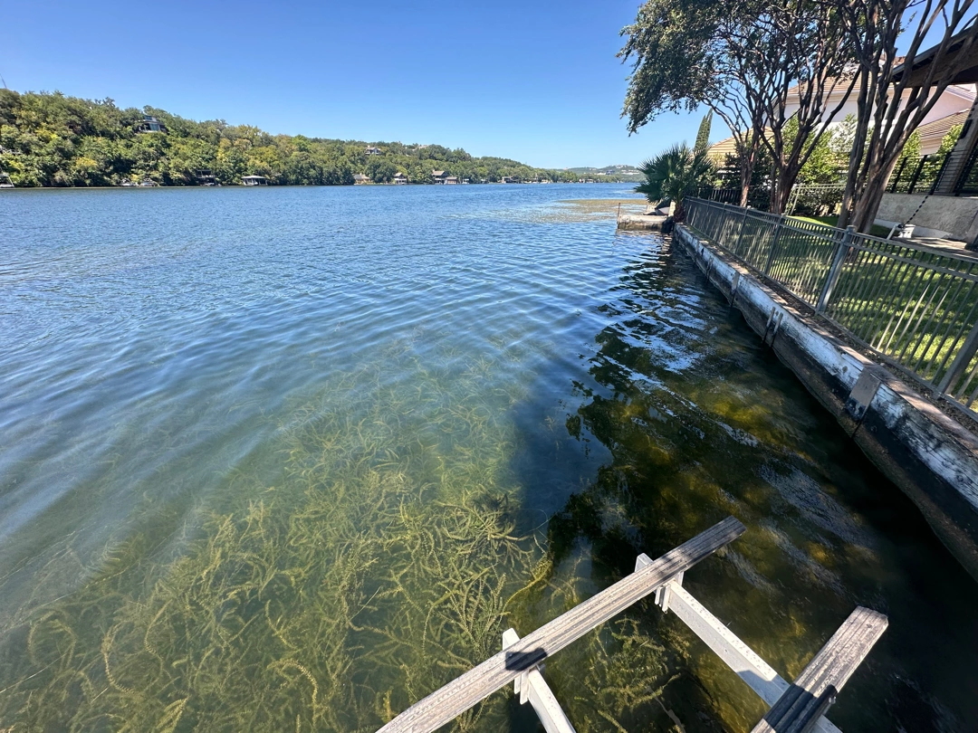 Approved ATX Lakescapes photograph of aquatic vegetation and lakescaping work (F32).