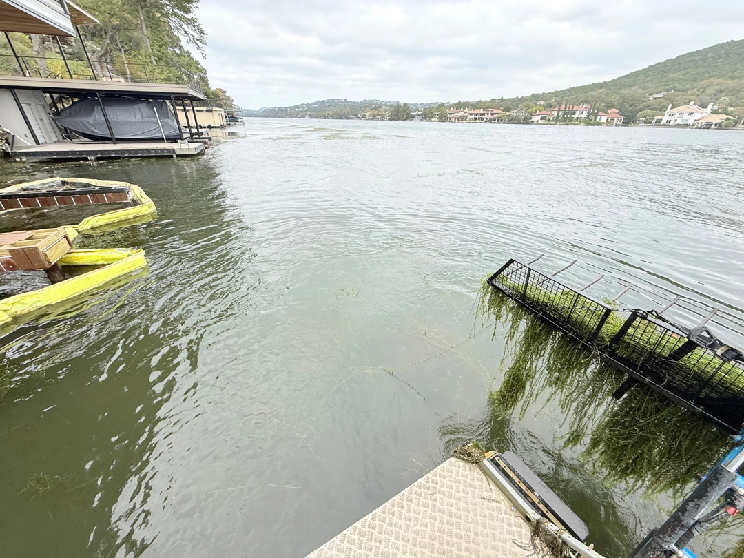 Approved ATX Lakescapes photograph of aquatic vegetation and lakescaping work (F33).